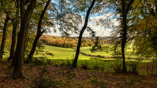 Echo Valley at Hughenden Estate, Buckinghamshire